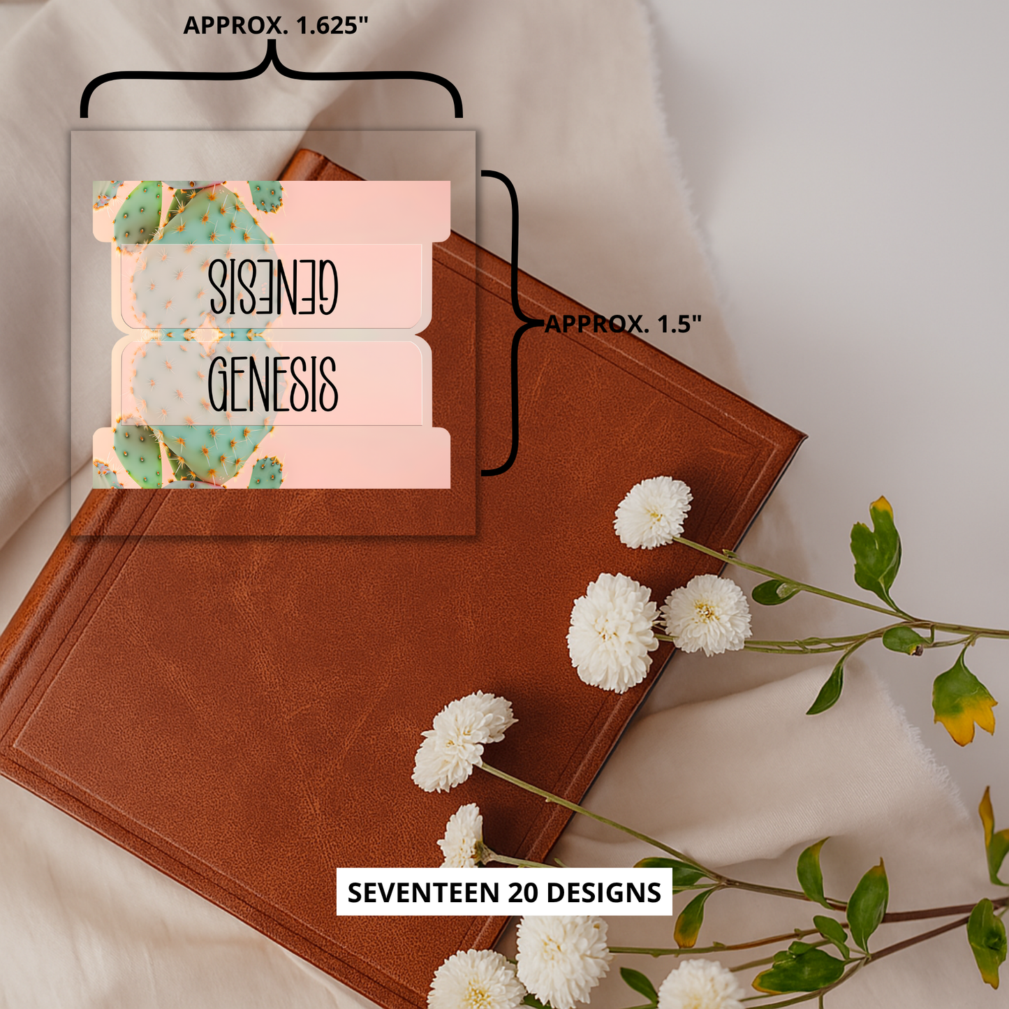 Desert Bloom Bible Tabs, Cactus-Themed Scripture Tabs, Aesthetic Bible Book Labels, Pastel Christian Gift, Bible Study Accessories