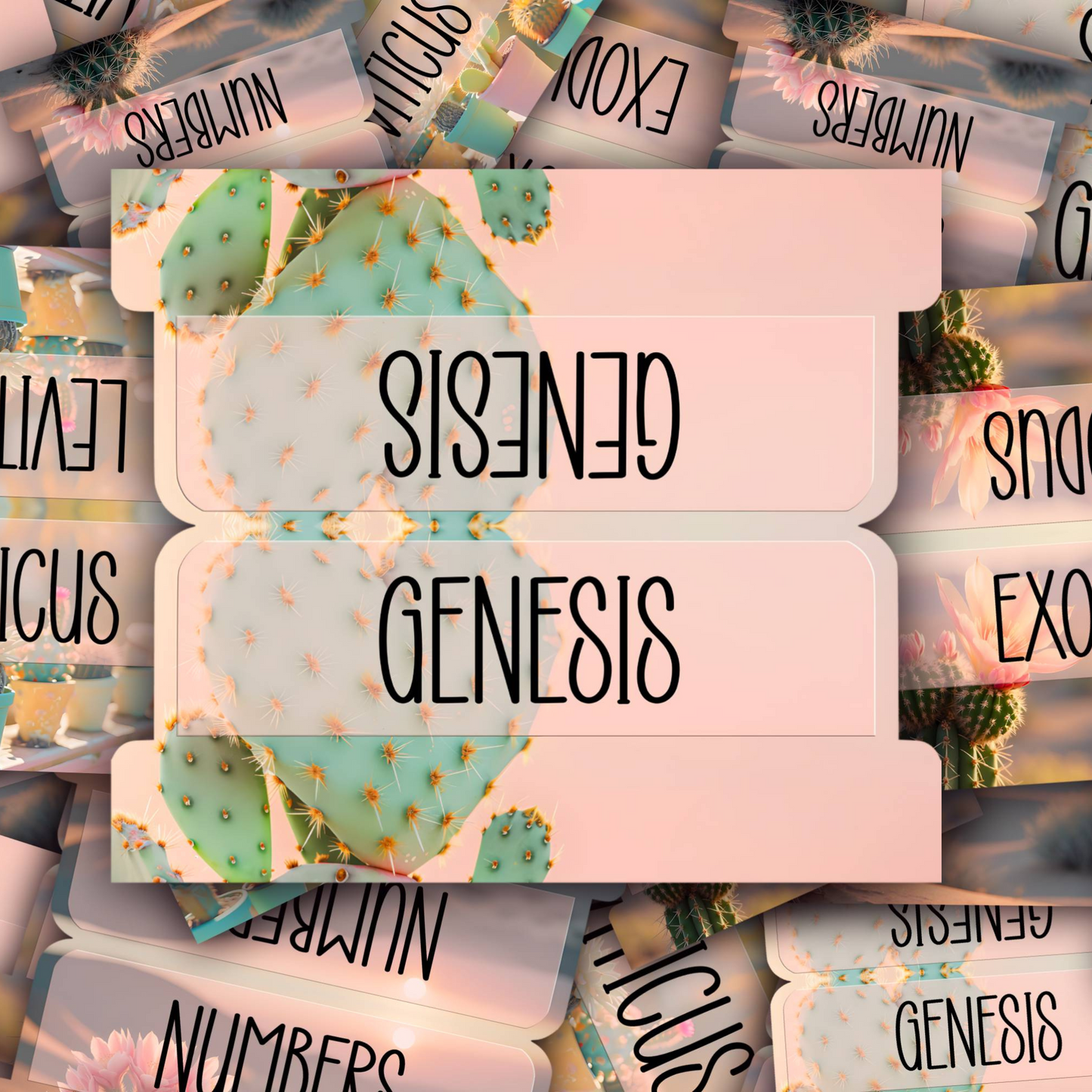 Desert Bloom Bible Tabs, Cactus-Themed Scripture Tabs, Aesthetic Bible Book Labels, Pastel Christian Gift, Bible Study Accessories