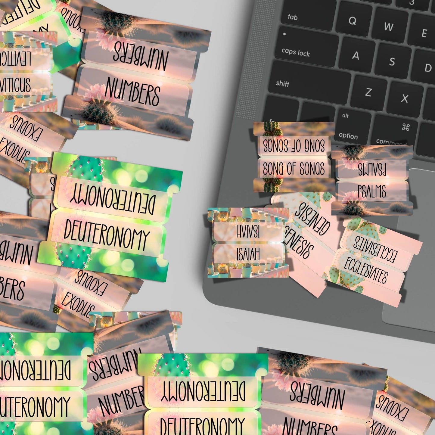 Desert Bloom Bible Tabs, Cactus-Themed Scripture Tabs, Aesthetic Bible Book Labels, Pastel Christian Gift, Bible Study Accessories