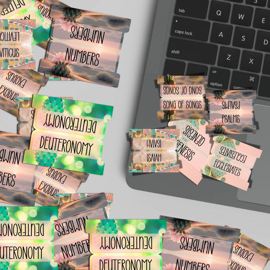 Desert Bloom Bible Tabs, Cactus-Themed Scripture Tabs, Aesthetic Bible Book Labels, Pastel Christian Gift, Bible Study Accessories