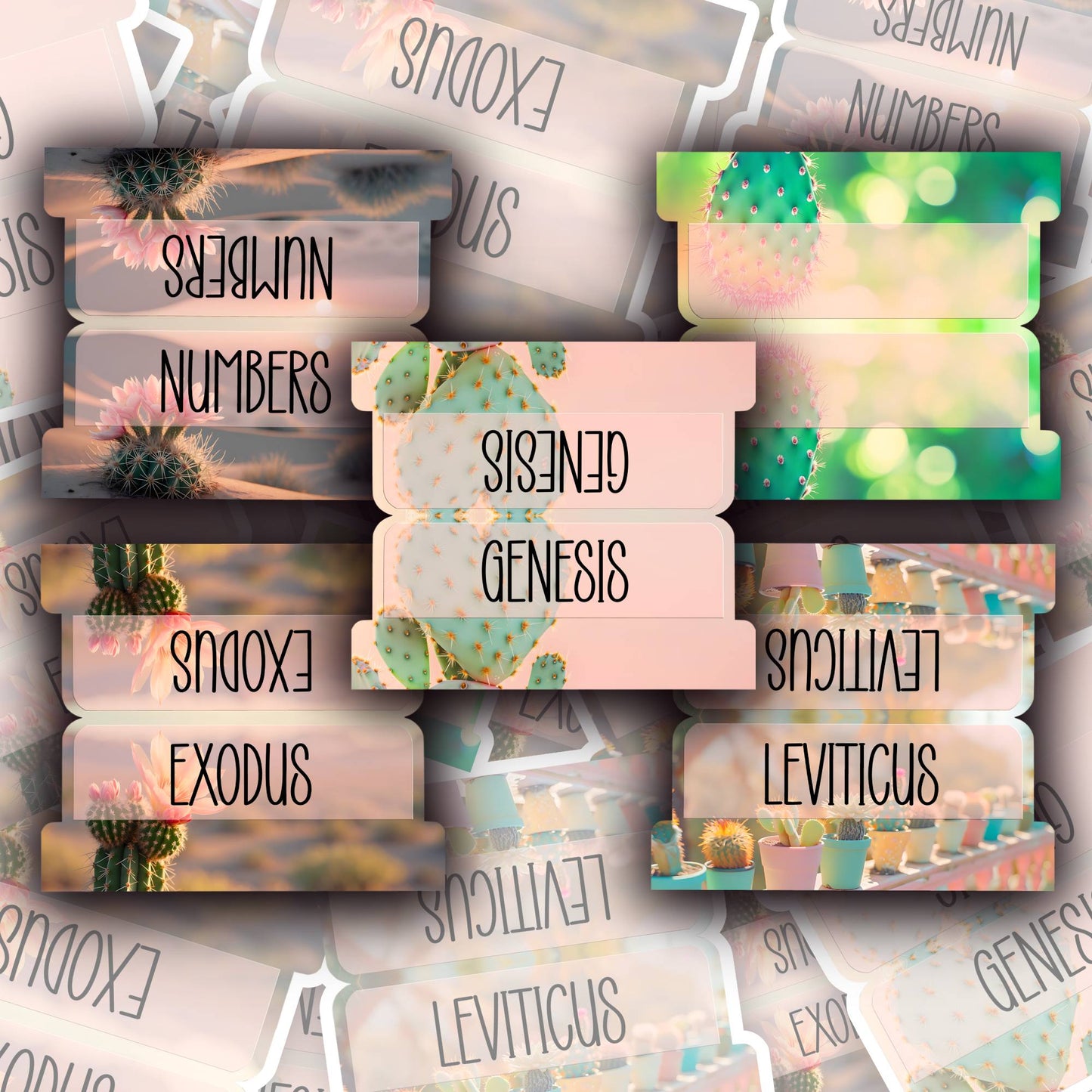 Desert Bloom Bible Tabs, Cactus-Themed Scripture Tabs, Aesthetic Bible Book Labels, Pastel Christian Gift, Bible Study Accessories