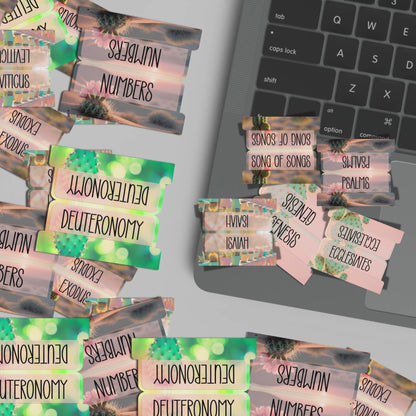 Desert Bloom Bible Tabs, Cactus-Themed Scripture Tabs, Aesthetic Bible Book Labels, Pastel Christian Gift, Bible Study Accessories