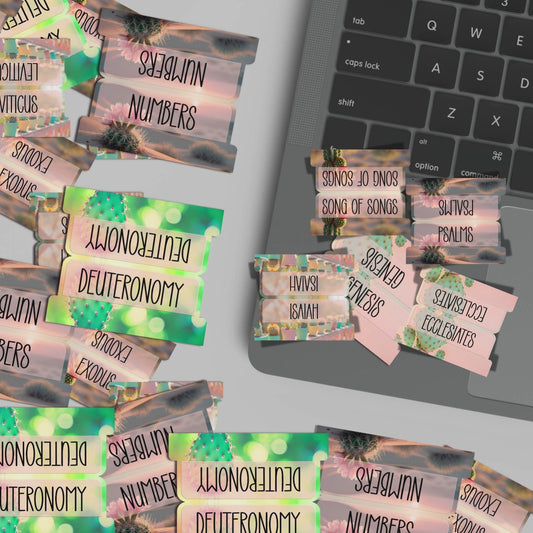 Desert Bloom Bible Tabs, Cactus-Themed Scripture Tabs, Aesthetic Bible Book Labels, Pastel Christian Gift, Bible Study Accessories